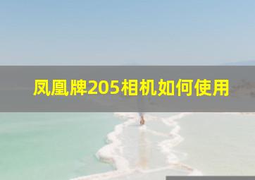 凤凰牌205相机如何使用