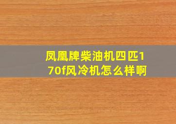 凤凰牌柴油机四匹170f风冷机怎么样啊