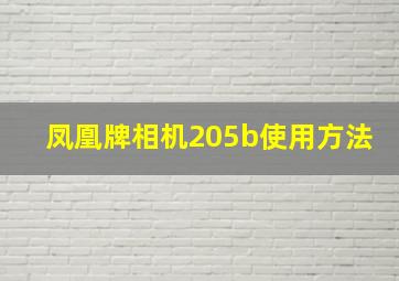 凤凰牌相机205b使用方法