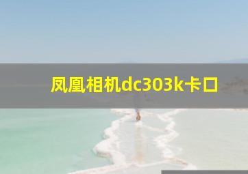 凤凰相机dc303k卡口