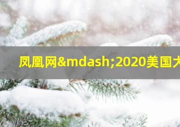 凤凰网—2020美国大选