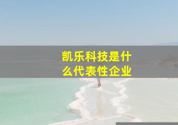 凯乐科技是什么代表性企业