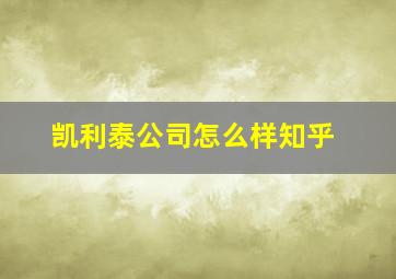 凯利泰公司怎么样知乎