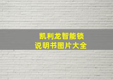 凯利龙智能锁说明书图片大全