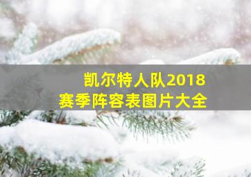 凯尔特人队2018赛季阵容表图片大全