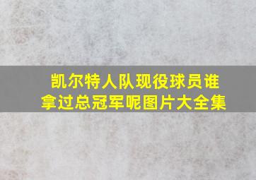 凯尔特人队现役球员谁拿过总冠军呢图片大全集