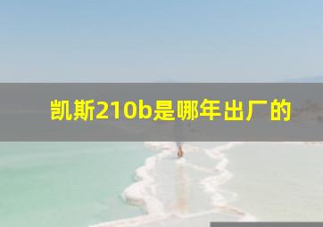 凯斯210b是哪年出厂的