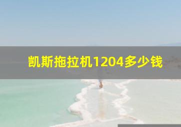 凯斯拖拉机1204多少钱