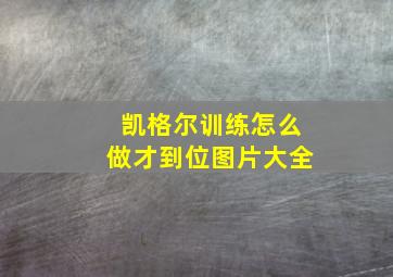 凯格尔训练怎么做才到位图片大全