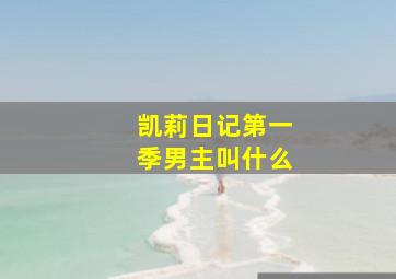 凯莉日记第一季男主叫什么