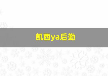 凯西ya后勤