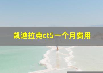 凯迪拉克ct5一个月费用