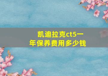 凯迪拉克ct5一年保养费用多少钱