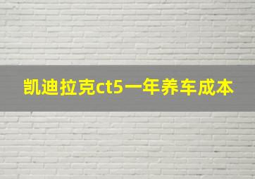 凯迪拉克ct5一年养车成本