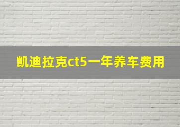 凯迪拉克ct5一年养车费用