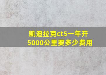 凯迪拉克ct5一年开5000公里要多少费用