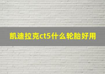 凯迪拉克ct5什么轮胎好用