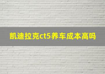 凯迪拉克ct5养车成本高吗