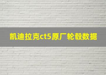 凯迪拉克ct5原厂轮毂数据