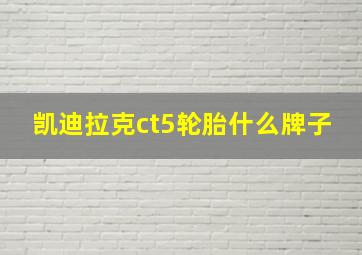 凯迪拉克ct5轮胎什么牌子