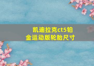 凯迪拉克ct5铂金运动版轮胎尺寸