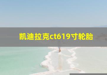 凯迪拉克ct619寸轮胎