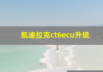 凯迪拉克ct6ecu升级