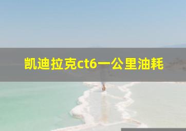 凯迪拉克ct6一公里油耗