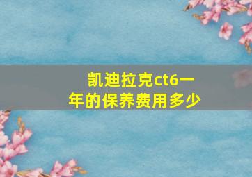 凯迪拉克ct6一年的保养费用多少