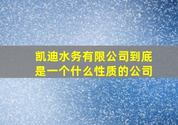 凯迪水务有限公司到底是一个什么性质的公司