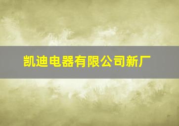 凯迪电器有限公司新厂