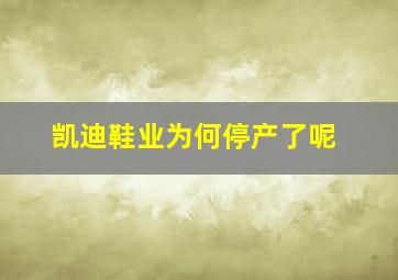 凯迪鞋业为何停产了呢