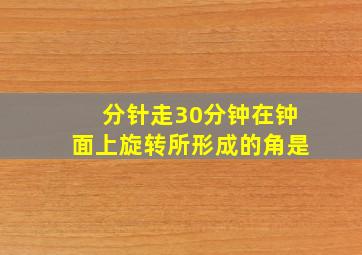 分针走30分钟在钟面上旋转所形成的角是