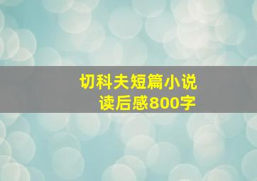 切科夫短篇小说读后感800字