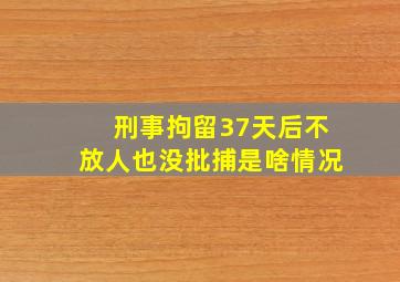 刑事拘留37天后不放人也没批捕是啥情况