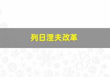 列日涅夫改革