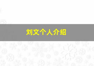 刘文个人介绍