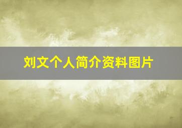 刘文个人简介资料图片