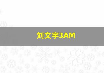 刘文宇3AM