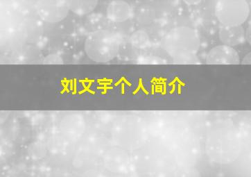 刘文宇个人简介