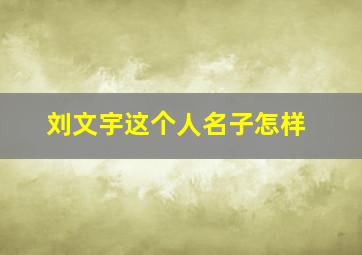 刘文宇这个人名子怎样