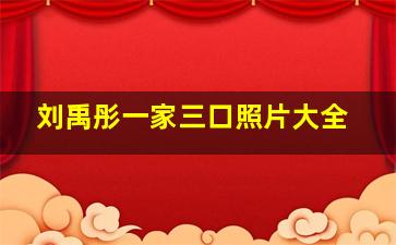 刘禹彤一家三口照片大全