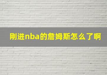 刚进nba的詹姆斯怎么了啊