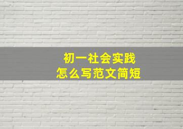 初一社会实践怎么写范文简短