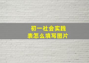 初一社会实践表怎么填写图片