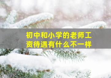 初中和小学的老师工资待遇有什么不一样