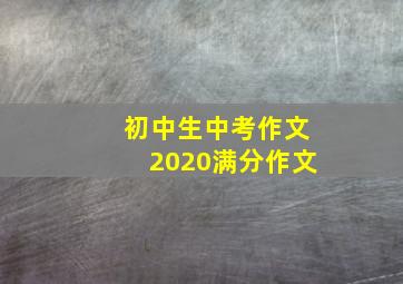 初中生中考作文2020满分作文