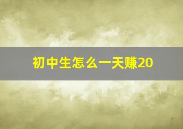 初中生怎么一天赚20