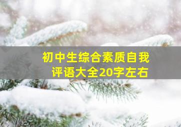 初中生综合素质自我评语大全20字左右