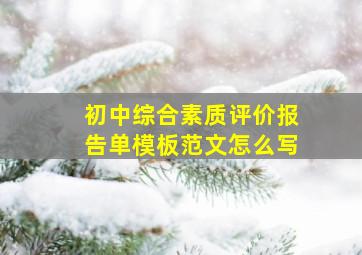 初中综合素质评价报告单模板范文怎么写